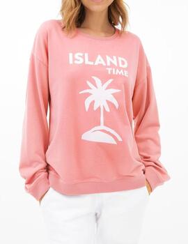 Felpa 820 18 059 Rosa