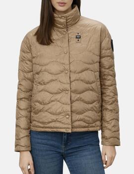 Thumb a03376 njcvgzjm